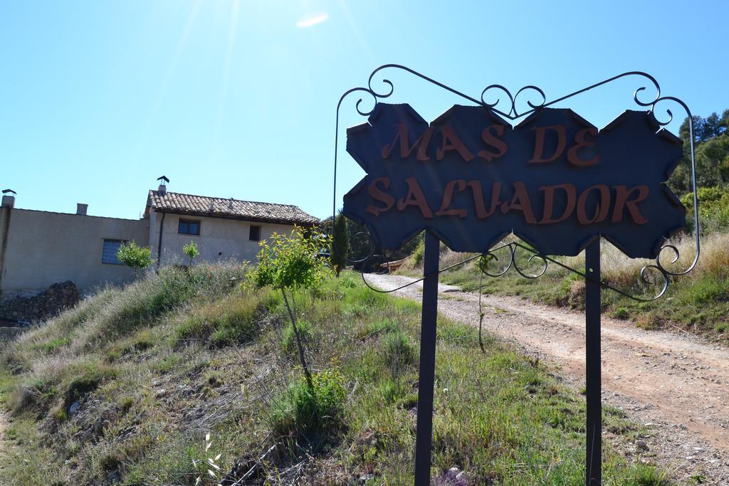 Mas de Salvador Villa Peñarroya de Tastavins Exterior foto